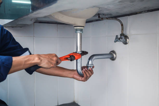 Best Clogged Drain Plumber  in Machias, WA